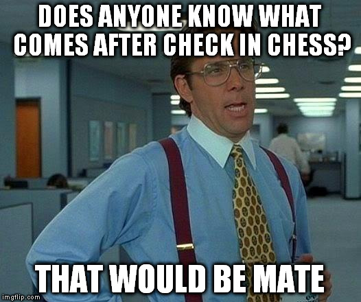 That Would Be Great | DOES ANYONE KNOW WHAT COMES AFTER CHECK IN CHESS? THAT WOULD BE MATE | image tagged in memes,that would be great | made w/ Imgflip meme maker