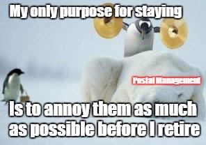 Penguin With Cymbals | My only purpose for staying; Postal Management; Is to annoy them as much as possible before I retire | image tagged in penguin with cymbals | made w/ Imgflip meme maker
