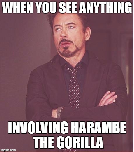 It. Is. A. Gorilla. WHY CAN'T WE JUST LET HIM/HER REST IN PEACE!? | WHEN YOU SEE ANYTHING; INVOLVING HARAMBE THE GORILLA | image tagged in memes,face you make robert downey jr | made w/ Imgflip meme maker