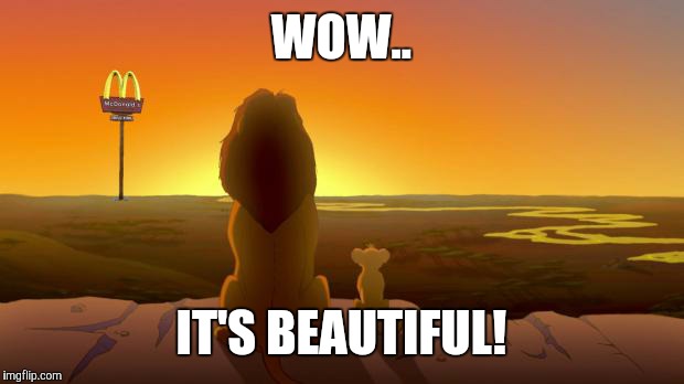 Lion King McDonalds | WOW.. IT'S BEAUTIFUL! | image tagged in lion king mcdonalds | made w/ Imgflip meme maker