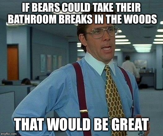 That Would Be Great Meme | IF BEARS COULD TAKE THEIR BATHROOM BREAKS IN THE WOODS THAT WOULD BE GREAT | image tagged in memes,that would be great | made w/ Imgflip meme maker