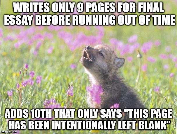 Baby Insanity Wolf | WRITES ONLY 9 PAGES FOR FINAL ESSAY BEFORE RUNNING OUT OF TIME; ADDS 10TH THAT ONLY SAYS "THIS PAGE HAS BEEN INTENTIONALLY LEFT BLANK" | image tagged in memes,baby insanity wolf,AdviceAnimals | made w/ Imgflip meme maker