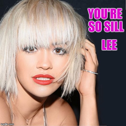 ditz | YOU'RE SO SILL LEE | image tagged in ditz | made w/ Imgflip meme maker