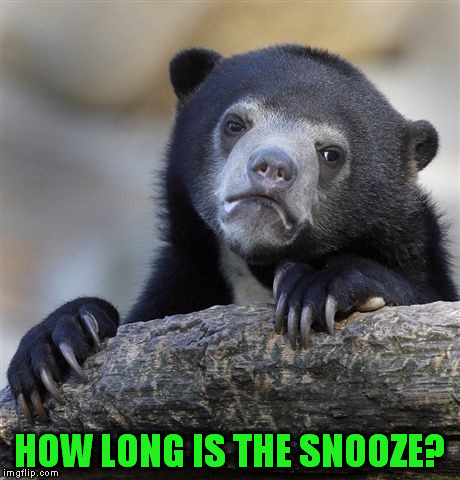 Confession Bear Meme | HOW LONG IS THE SNOOZE? | image tagged in memes,confession bear | made w/ Imgflip meme maker