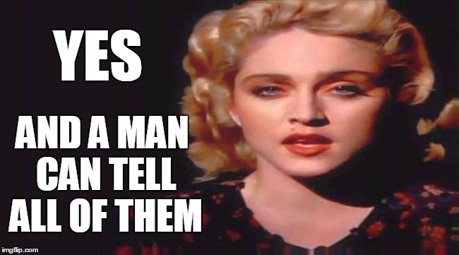YES AND A MAN CAN TELL ALL OF THEM | image tagged in madonna | made w/ Imgflip meme maker