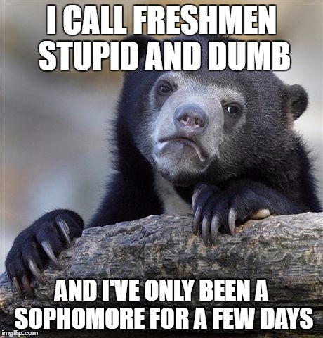 But in my defense, they are stupid. And pretty dumb. | I CALL FRESHMEN STUPID AND DUMB; AND I'VE ONLY BEEN A SOPHOMORE FOR A FEW DAYS | image tagged in memes,confession bear,high school,dirty freshmen | made w/ Imgflip meme maker