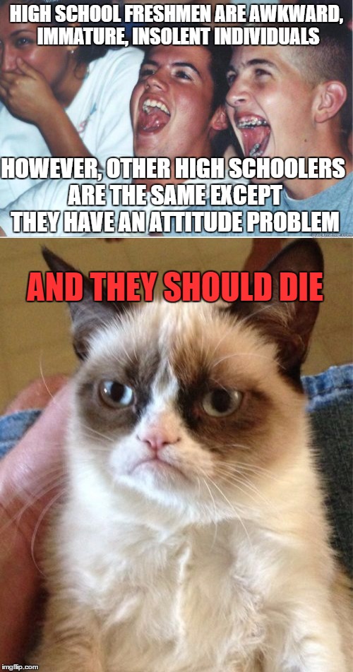 And this won't get any updates. | HIGH SCHOOL FRESHMEN ARE AWKWARD, IMMATURE, INSOLENT INDIVIDUALS; HOWEVER, OTHER HIGH SCHOOLERS ARE THE SAME EXCEPT THEY HAVE AN ATTITUDE PROBLEM; AND THEY SHOULD DIE | image tagged in grumpy cat,high school | made w/ Imgflip meme maker