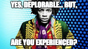 YES, DEPLORABLE... BUT, ARE YOU EXPERIENCED? | image tagged in deplorable,hillary clinton | made w/ Imgflip meme maker