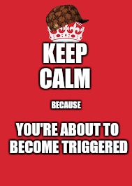 KEEP    CALM; BECAUSE; YOU'RE ABOUT TO BECOME TRIGGERED | image tagged in memes,keep calm and carry on red | made w/ Imgflip meme maker