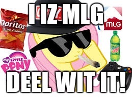 cant defeet mlg proz | I IZ MLG; DEEL WIT IT! | image tagged in mlg pony,memes,mlg,pony | made w/ Imgflip meme maker