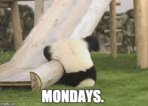 mondays | MONDAYS. | image tagged in memes | made w/ Imgflip meme maker