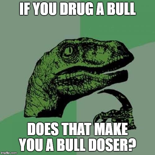 Philosoraptor | IF YOU DRUG A BULL; DOES THAT MAKE YOU A BULL DOSER? | image tagged in memes,philosoraptor | made w/ Imgflip meme maker