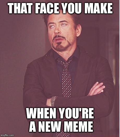 Face You Make Robert Downey Jr | THAT FACE YOU MAKE; WHEN YOU'RE A NEW MEME | image tagged in memes,face you make robert downey jr | made w/ Imgflip meme maker