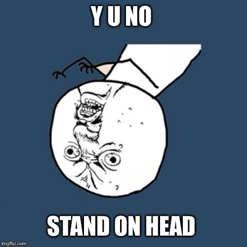 Y U No Meme | Y U NO STAND ON HEAD | image tagged in memes,y u no | made w/ Imgflip meme maker