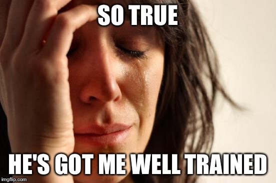 First World Problems Meme | SO TRUE HE'S GOT ME WELL TRAINED | image tagged in memes,first world problems | made w/ Imgflip meme maker