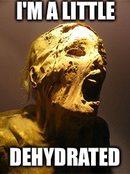 The Mummy | I'M A LITTLE; DEHYDRATED | image tagged in the mummy | made w/ Imgflip meme maker