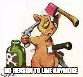 Suicide cat-1 | NO REASON TO LIVE ANYMORE | image tagged in suicide cat-1 | made w/ Imgflip meme maker