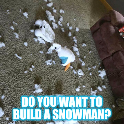Do you want to build a snowman?  | DO YOU WANT TO BUILD A SNOWMAN? | image tagged in olaf,frozen,do you want to build a snowman,funny,dog memes,funny memes | made w/ Imgflip meme maker