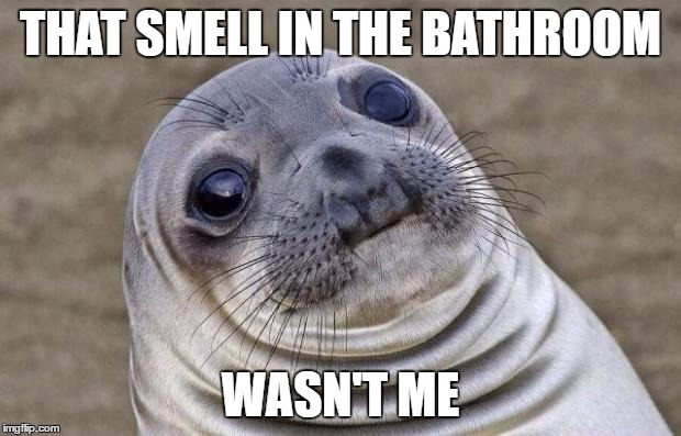 Awkward Moment Sealion Meme | THAT SMELL IN THE BATHROOM; WASN'T ME | image tagged in memes,awkward moment sealion | made w/ Imgflip meme maker