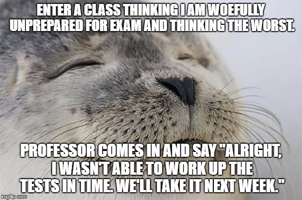 Satisfied Seal Meme | ENTER A CLASS THINKING I AM WOEFULLY UNPREPARED FOR EXAM AND THINKING THE WORST. PROFESSOR COMES IN AND SAY "ALRIGHT, I WASN'T ABLE TO WORK UP THE TESTS IN TIME. WE'LL TAKE IT NEXT WEEK." | image tagged in memes,satisfied seal,AdviceAnimals | made w/ Imgflip meme maker