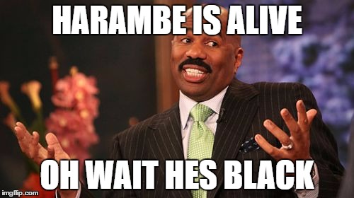 HARAMBE IS ALIVE; OH WAIT HES BLACK | image tagged in memes,steve harvey | made w/ Imgflip meme maker