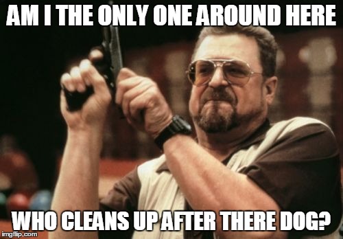 Am I The Only One Around Here | AM I THE ONLY ONE AROUND HERE; WHO CLEANS UP AFTER THERE DOG? | image tagged in memes,am i the only one around here | made w/ Imgflip meme maker