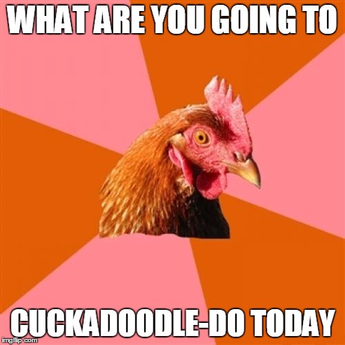 Anti Joke Chicken Meme | WHAT ARE YOU GOING TO; CUCKADOODLE-DO TODAY | image tagged in memes,anti joke chicken | made w/ Imgflip meme maker