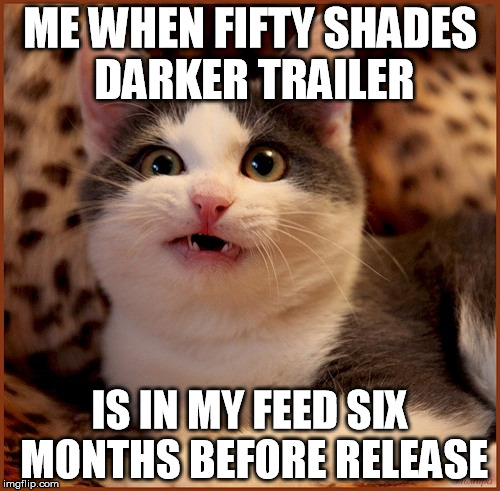 confused cat | ME WHEN FIFTY SHADES DARKER TRAILER; IS IN MY FEED SIX MONTHS BEFORE RELEASE | image tagged in confused cat | made w/ Imgflip meme maker