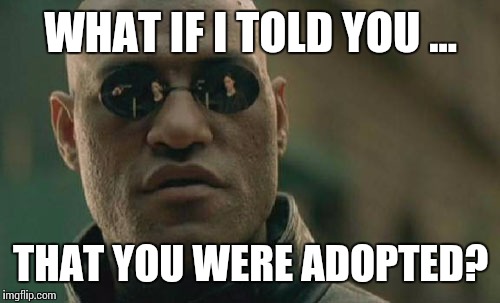 Matrix Morpheus | WHAT IF I TOLD YOU ... THAT YOU WERE ADOPTED? | image tagged in memes,matrix morpheus | made w/ Imgflip meme maker