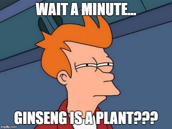 Futurama Fry Meme | WAIT A MINUTE... GINSENG IS A PLANT??? | image tagged in memes,futurama fry | made w/ Imgflip meme maker