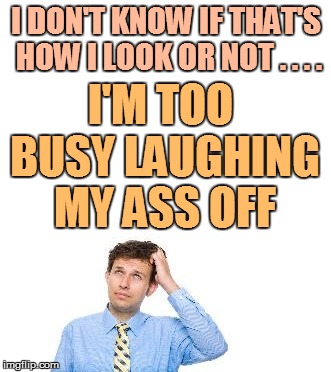 I DON'T KNOW IF THAT'S HOW I LOOK OR NOT . . . . I'M TOO BUSY LAUGHING MY ASS OFF | made w/ Imgflip meme maker