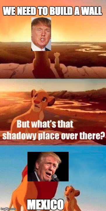 we need to build a wall | WE NEED TO BUILD A WALL; MEXICO | image tagged in memes,simba shadowy place,donald trump | made w/ Imgflip meme maker