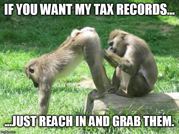 Wow, the debates are getting serious  | IF YOU WANT MY TAX RECORDS... ...JUST REACH IN AND GRAB THEM. | image tagged in monkeyass,funny memes | made w/ Imgflip meme maker