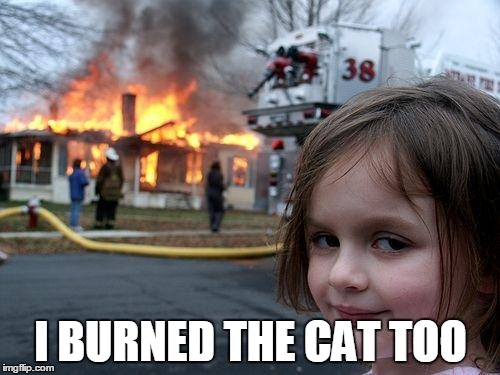 Disaster Girl Meme | I BURNED THE CAT TOO | image tagged in memes,disaster girl | made w/ Imgflip meme maker