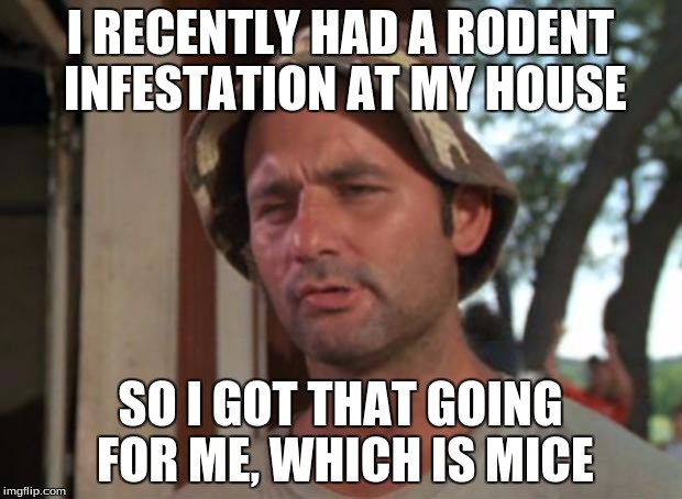 So I Got That Goin For Me Which Is Nice | I RECENTLY HAD A RODENT INFESTATION AT MY HOUSE; SO I GOT THAT GOING FOR ME, WHICH IS MICE | image tagged in memes,so i got that goin for me which is nice | made w/ Imgflip meme maker