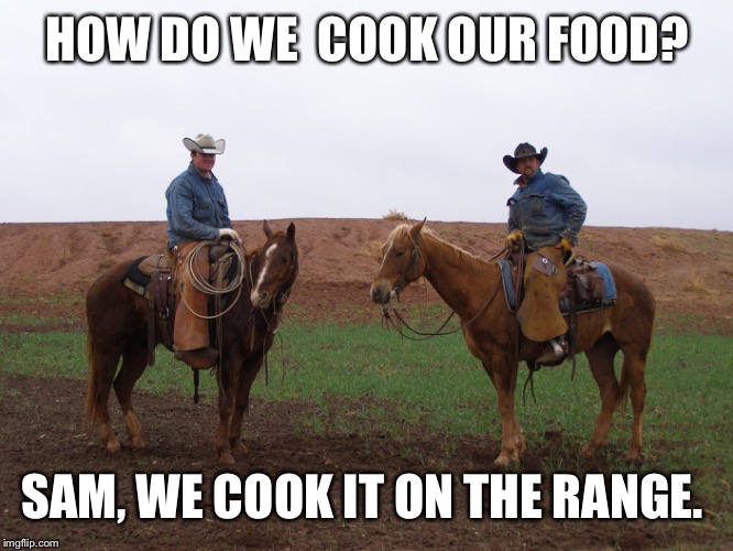 HOW DO WE  COOK OUR FOOD? SAM, WE COOK IT ON THE RANGE. | made w/ Imgflip meme maker