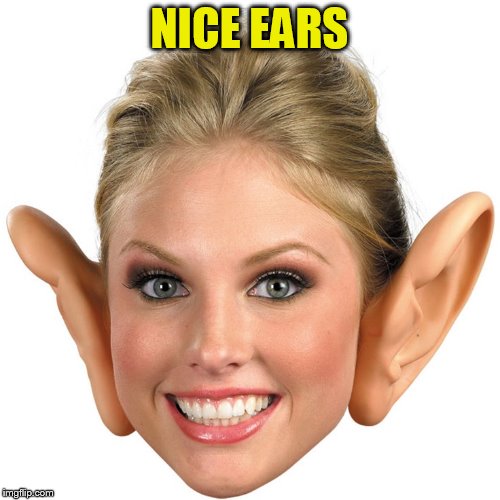 NICE EARS | made w/ Imgflip meme maker