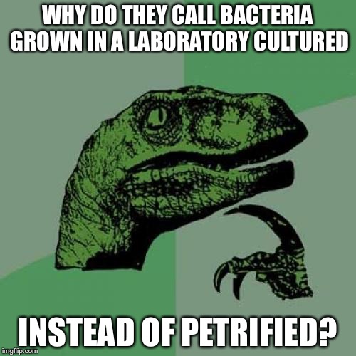 Lab Cultured is Impossible | WHY DO THEY CALL BACTERIA GROWN IN A LABORATORY CULTURED; INSTEAD OF PETRIFIED? | image tagged in memes,philosoraptor | made w/ Imgflip meme maker