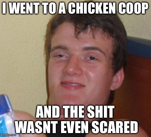 10 Guy | I WENT TO A CHICKEN COOP; AND THE SHIT WASNT EVEN SCARED | image tagged in memes,10 guy | made w/ Imgflip meme maker
