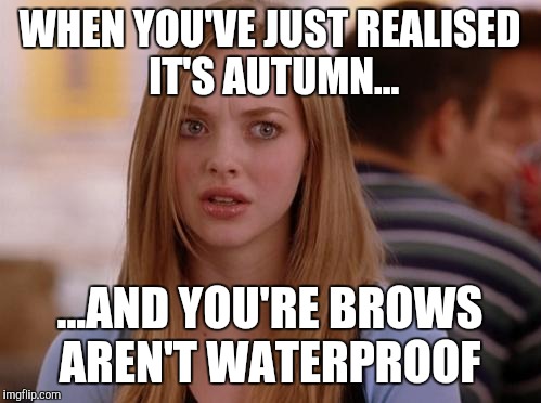 OMG Karen Meme | WHEN YOU'VE JUST REALISED IT'S AUTUMN... ...AND YOU'RE BROWS AREN'T WATERPROOF | image tagged in memes,omg karen | made w/ Imgflip meme maker