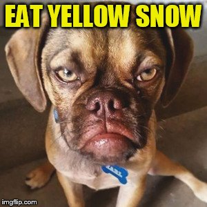 EAT YELLOW SNOW | made w/ Imgflip meme maker