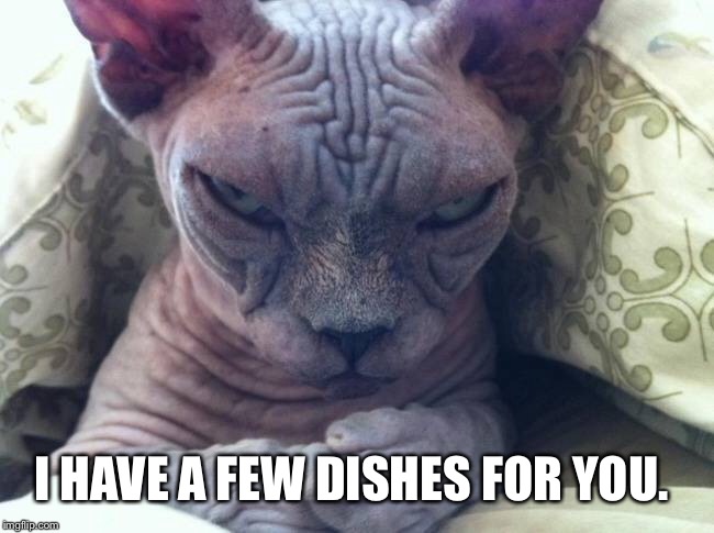 I HAVE A FEW DISHES FOR YOU. | made w/ Imgflip meme maker