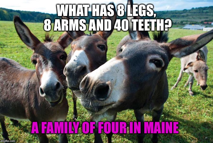 Inspired by GamingActivity. Tom's of Maine does not support this meme  | WHAT HAS 8 LEGS, 8 ARMS AND 40 TEETH? A FAMILY OF FOUR IN MAINE | image tagged in teeth | made w/ Imgflip meme maker