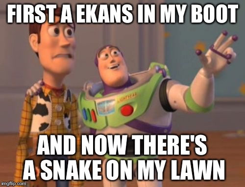 X, X Everywhere Meme | FIRST A EKANS IN MY BOOT AND NOW THERE'S A SNAKE ON MY LAWN | image tagged in memes,x x everywhere | made w/ Imgflip meme maker