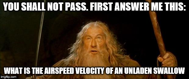gandalf you shall not pass | YOU SHALL NOT PASS. FIRST ANSWER ME THIS:; WHAT IS THE AIRSPEED VELOCITY OF AN UNLADEN SWALLOW | image tagged in gandalf you shall not pass | made w/ Imgflip meme maker