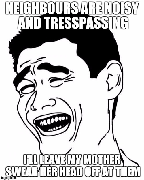 Yao Ming Meme | NEIGHBOURS ARE NOISY AND TRESSPASSING; I'LL LEAVE MY MOTHER SWEAR HER HEAD OFF AT THEM | image tagged in memes,yao ming | made w/ Imgflip meme maker
