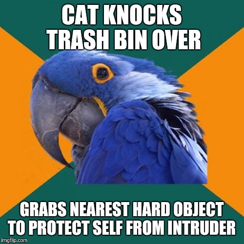 Paranoid Parrot Meme | CAT KNOCKS TRASH BIN OVER; GRABS NEAREST HARD OBJECT TO PROTECT SELF FROM INTRUDER | image tagged in memes,paranoid parrot | made w/ Imgflip meme maker