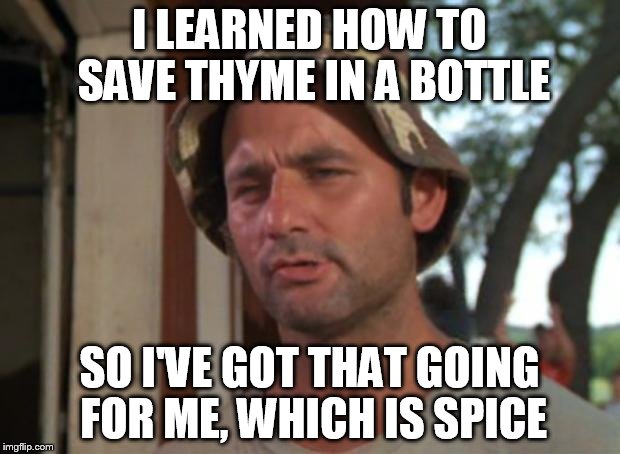 So I Got That Goin For Me Which Is Nice | I LEARNED HOW TO SAVE THYME IN A BOTTLE; SO I'VE GOT THAT GOING FOR ME, WHICH IS SPICE | image tagged in memes,so i got that goin for me which is nice | made w/ Imgflip meme maker