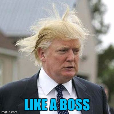 Donald Trump | LIKE A BOSS | image tagged in donald trump | made w/ Imgflip meme maker