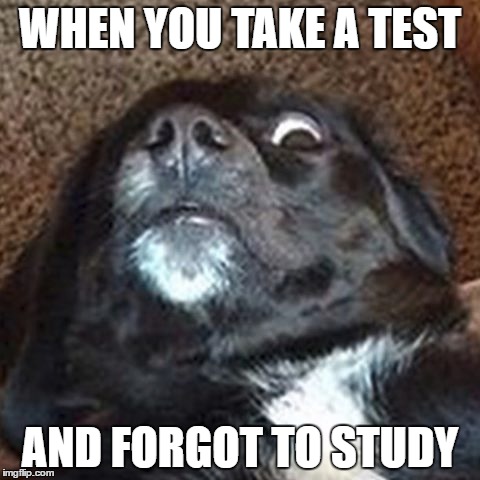 DoodleDonut #3 | WHEN YOU TAKE A TEST; AND FORGOT TO STUDY | image tagged in donut | made w/ Imgflip meme maker